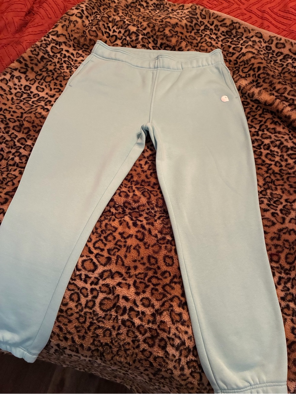 Carthartt  Women's Light Blue Fleece Joggers- brand new but removed tags- size L